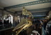 Musée d'histoire naturelle de Lille